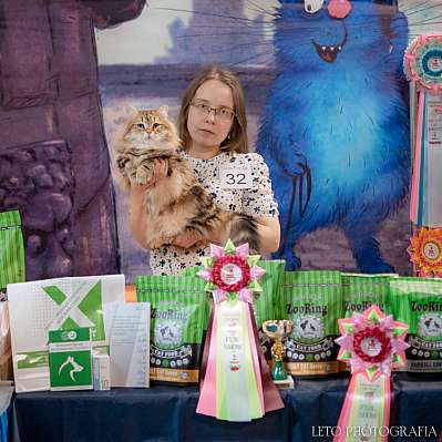 �������� ����� 22-23.07.2023 ���������� 2-32-542.jpg