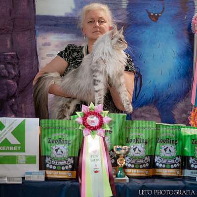 �������� ����� 22-23.07.2023 ���������� 3-20-552.jpg