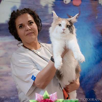 �������� ����� 22-23.07.2023 ���������� 6-13-571.jpg