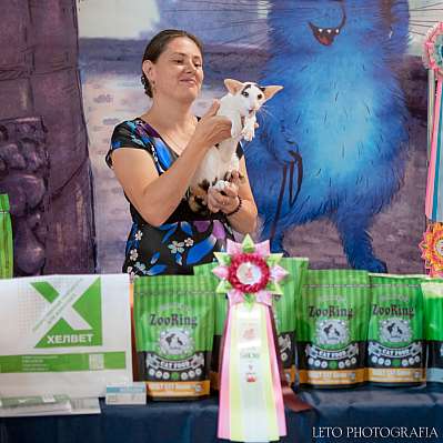 �������� ����� 22-23.07.2023 ���������� 9-76-572.jpg