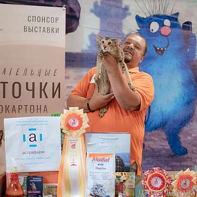 �������� ����� 22-23 ���� 2023 �., ������������ � ������ ���.