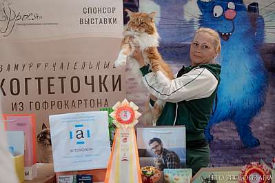 �������� ����� 22-23.07.2023 ���������� 2-4-347.jpg