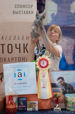 �������� ����� 22-23.07.2023 ���������� 3-63-342.jpg