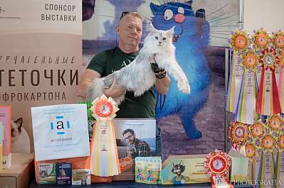 �������� ����� 22-23.07.2023 ���������� 4-18-353.jpg