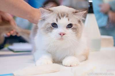 �������� ����� 22-23.07.2023 ���������� 7-84-088.jpg