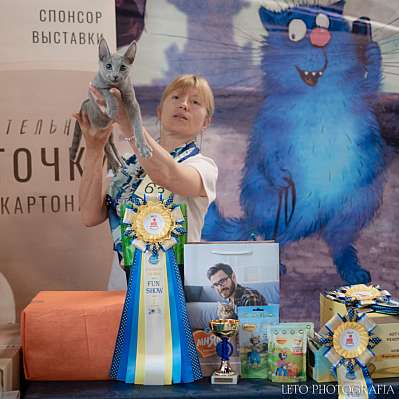 �������� ����� 22-23 ���� 2023 �., ������������ � ������ ���.