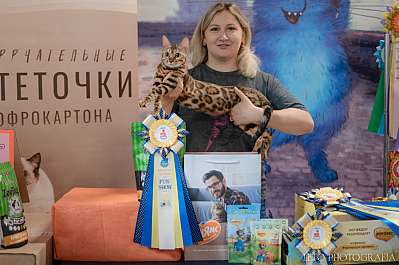 �������� ����� 22-23.07.2023 ���������� 10-42-183.jpg