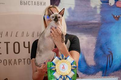 �������� ����� 22-23.07.2023 ���������� 7-105-196.jpg