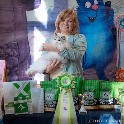 �������� ����� 22-23 ���� 2023 �., ������������ � ������ ���.