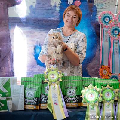 �������� ����� 22-23.07.2023 ���������� 10-22-515.jpg