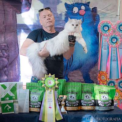 �������� ����� 22-23.07.2023 ���������� 2-12-535.jpg