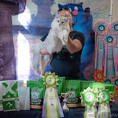 �������� ����� 22-23.07.2023 ���������� 3-18-525.jpg