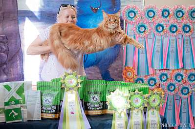 �������� ����� 22-23.07.2023 ���������� 7-6-519.jpg