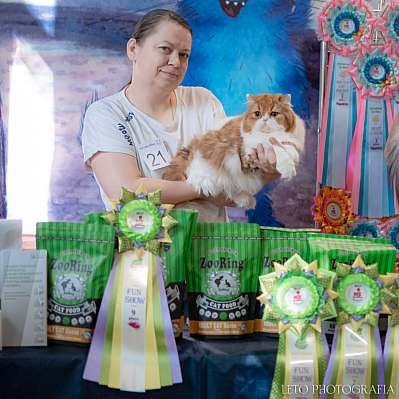 �������� ����� 22-23.07.2023 ���������� 9-21-509.jpg