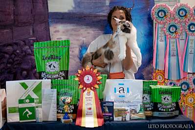 �������� ����� 22-23.07.2023 ���������� 3-13-238.jpg