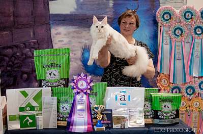 �������� ����� 22-23.07.2023 ���������� 4-9-248.jpg