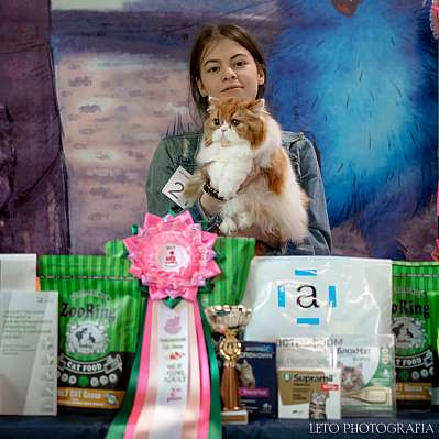 �������� ����� 22-23.07.2023 ���������� 2-21-207.jpg