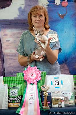 �������� ����� 22-23.07.2023 ���������� 3-58-201.jpg