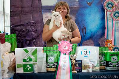 �������� ����� 22-23.07.2023 ���������� 4-51-224.jpg