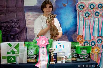 �������� ����� 22-23.07.2023 ���������� 5-75-217.jpg