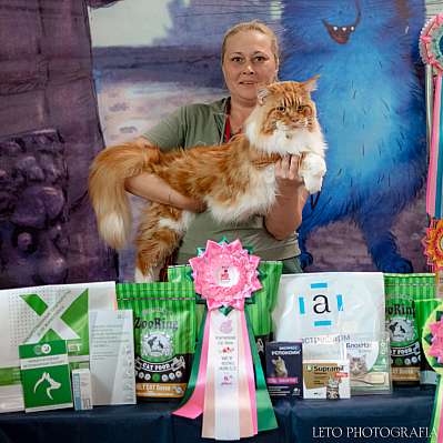 �������� ����� 22-23.07.2023 ���������� 6-4-178.jpg