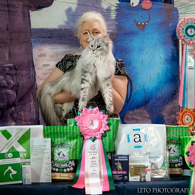 �������� ����� 22-23.07.2023 ���������� 7-20-187.jpg