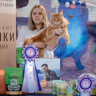 �������� ����� 22-23.07.2023 ���������� 6-6-113.jpg