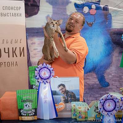 �������� ����� 22-23.07.2023 ���������� 9-75-110.jpg