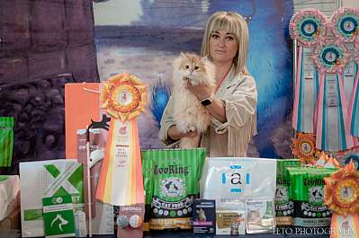 �������� ����� 22-23.07.2023 ���������� 10-104-420.jpg