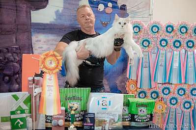 �������� ����� 22-23.07.2023 ���������� 2-12-443.jpg