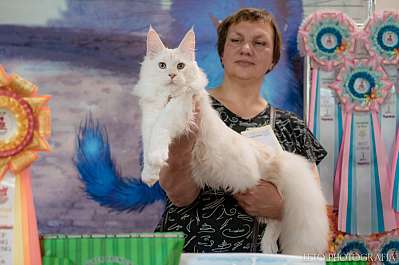 �������� ����� 22-23.07.2023 ���������� 4-9-439.jpg