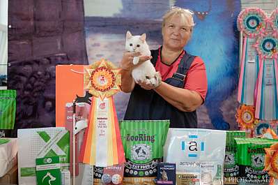 �������� ����� 22-23.07.2023 ���������� 7-106-436.jpg