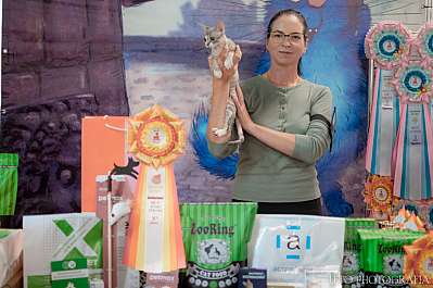 �������� ����� 22-23.07.2023 ���������� 8-54-423.jpg