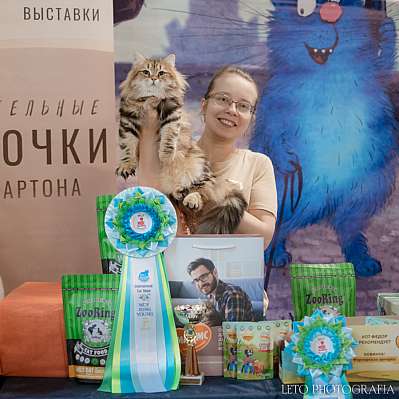 �������� ����� 22-23 ���� 2023 �. WCF-�����