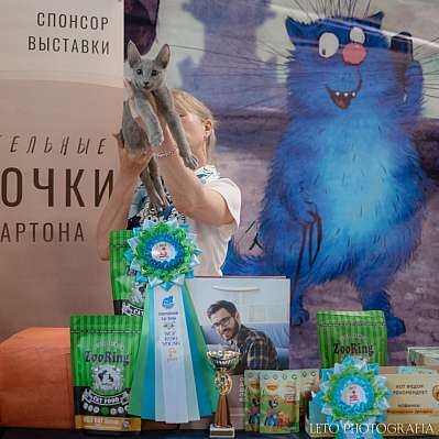 �������� ����� 22-23.07.2023 ���������� 2-63-265.jpg