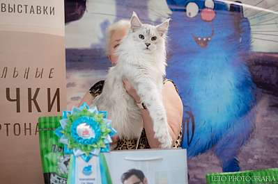 �������� ����� 22-23.07.2023 ���������� 7-18-244.jpg