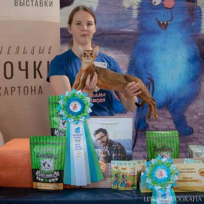 �������� ����� 22-23.07.2023 ���������� 8-38-280.jpg