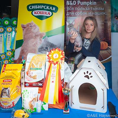 �������� ����� 16-17.09.2023 ���������� 11-83-klk_Moskva_0203.jpg