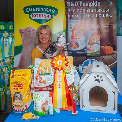 �������� ����� 16-17.09.2023 ���������� 13-33-klk_Moskva_0189.jpg