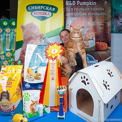 �������� ����� 16-17.09.2023 ���������� 2-86-klk_Moskva_0232.jpg