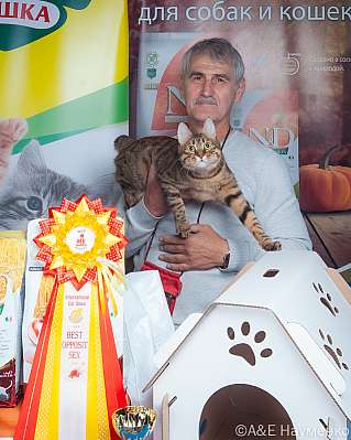 �������� ����� 16-17.09.2023 ���������� 6-68-klk_Moskva_0222.jpg