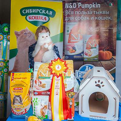 �������� ����� 16-17.09.2023 ���������� 7-2-klk_Moskva_0211.jpg