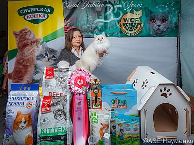 �������� ����� 16-17.09.2023 ���������� 10-95-klk_Moskva_0505.jpg