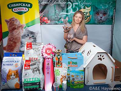 �������� ����� 16-17.09.2023 ���������� 11-83-klk_Moskva_0509.jpg