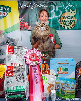 �������� ����� 16-17.09.2023 ���������� 2-94-klk_Moskva_0537.jpg