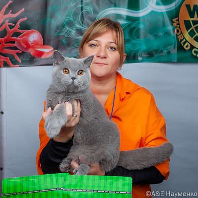 �������� ����� 16-17.09.2023 ���������� 3-40-klk_Moskva_0323.jpg