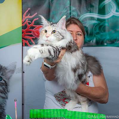 �������� ����� 16-17.09.2023 ���������� 4-15-klk_Moskva_0321.jpg