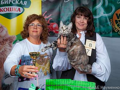 �������� ����� 16-17.09.2023 ���������� 8-67-klk_Moskva_0282.jpg