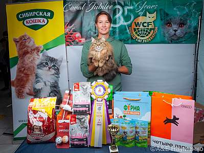 �������� ����� 16-17 �������� 2023 �., ������������ � ������ ���.