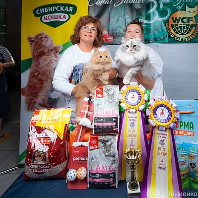 �������� ����� 16-17.09.2023 ���������� 2,4-23,90-klk_Moskva_0434.jpg